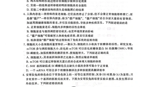 2025届高三部分重点中学3月联合测评(T8联考)生物试卷（河北版，含答案）_2025年3月_2503282025届八省八校高三部分重点中学3月联合测评（T8联考）（全科）
