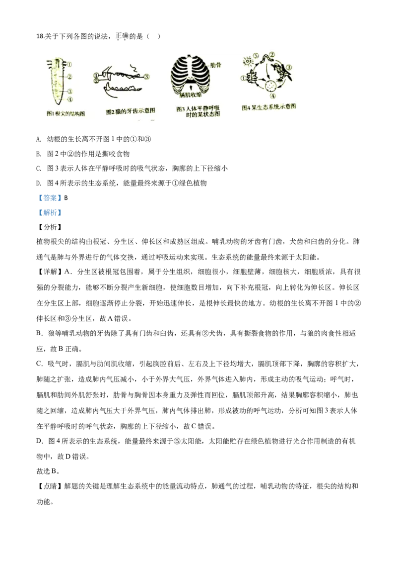 精品解析：湖南省衡阳市2020中考生物试题（解析版）_中考真题_8.生物中考真题2015-2024年_2020生物真题74份_2020年中考真题精品解析生物（湖南衡阳卷）精编word版