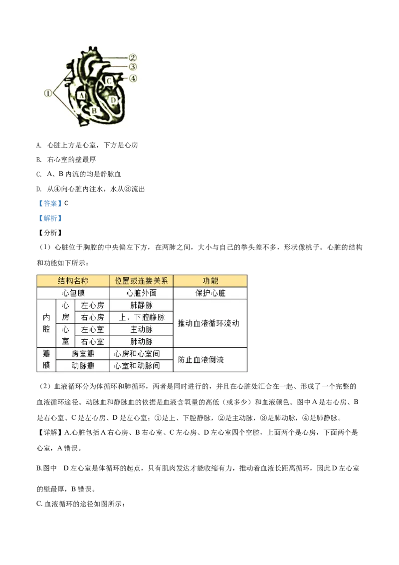精品解析：湖南省衡阳市2020中考生物试题（解析版）_中考真题_8.生物中考真题2015-2024年_2020生物真题74份_2020年中考真题精品解析生物（湖南衡阳卷）精编word版