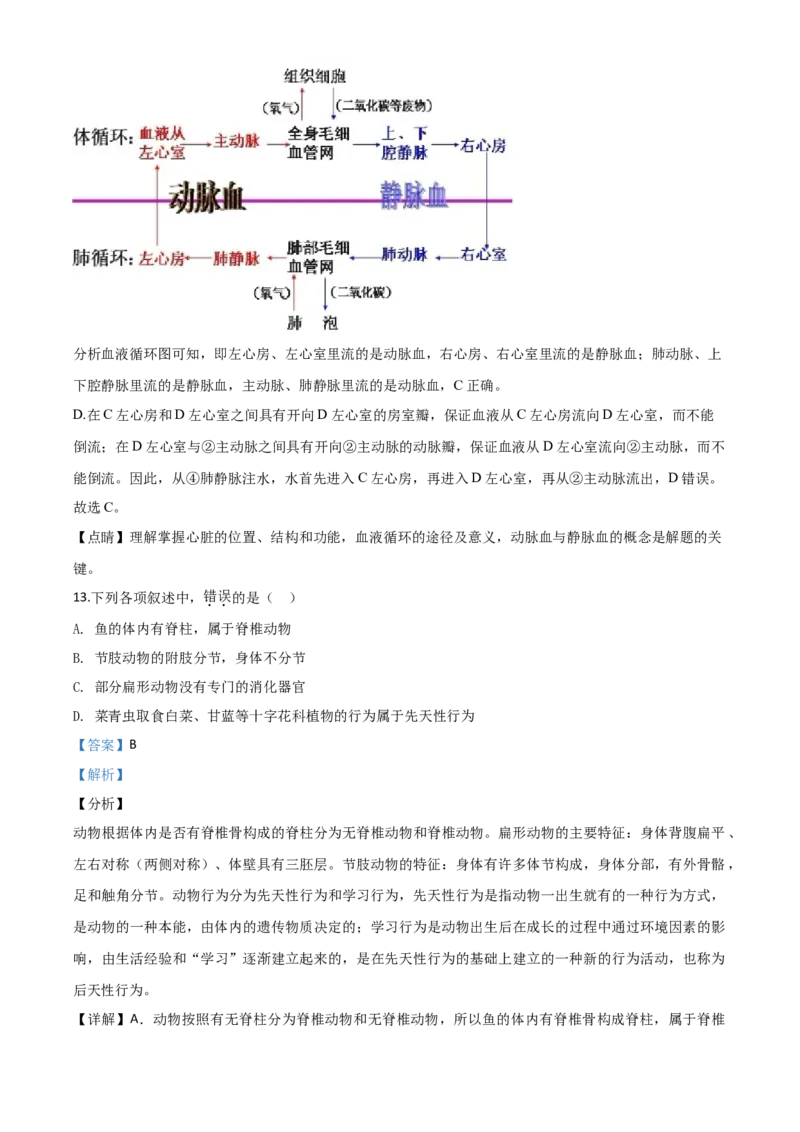 精品解析：湖南省衡阳市2020中考生物试题（解析版）_中考真题_8.生物中考真题2015-2024年_2020生物真题74份_2020年中考真题精品解析生物（湖南衡阳卷）精编word版