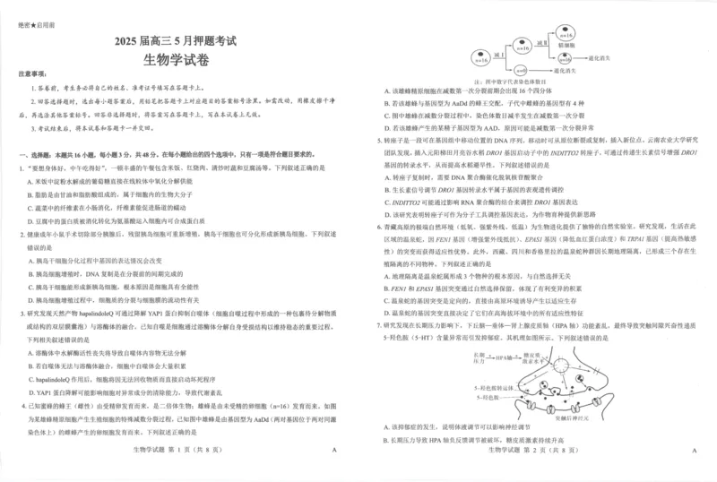 2025年太原市高三年级模拟考试（三）生物_2025年5月_250517山西省三重教育2025届高三5月押题考试（太原三模）(全科)