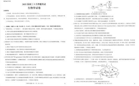 2025年太原市高三年级模拟考试（三）生物_2025年5月_250517山西省三重教育2025届高三5月押题考试（太原三模）(全科)