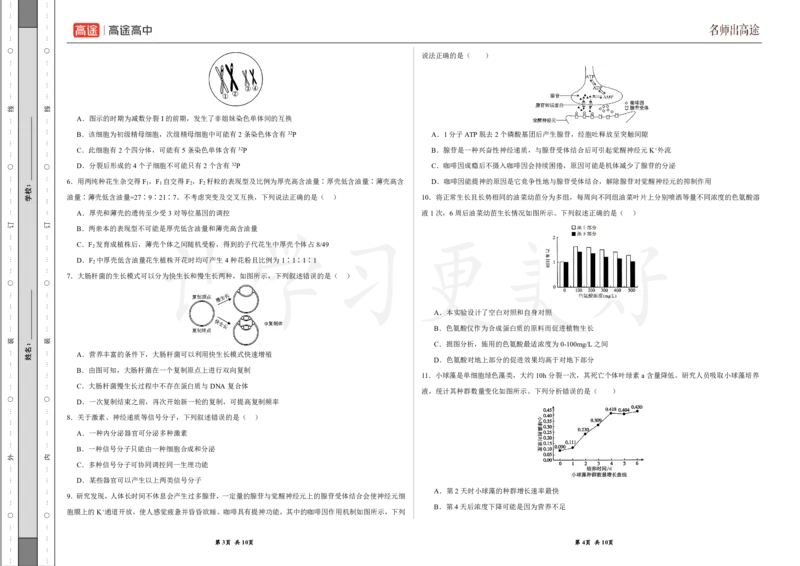 (8.14)-点睛押题卷&mdash;&mdash;贵州卷_2024高考押题卷_132024高途全系列_26高途点睛卷_2024点睛密卷-生物