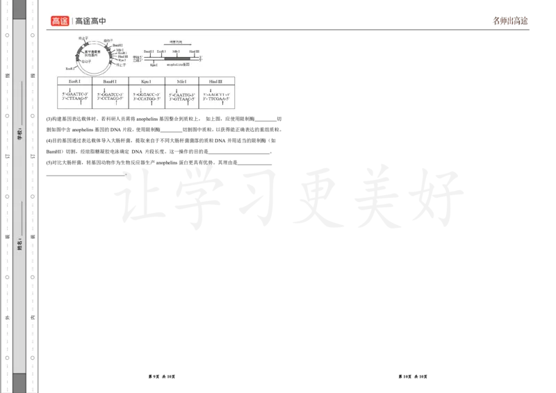 (8.14)-点睛押题卷&mdash;&mdash;贵州卷_2024高考押题卷_132024高途全系列_26高途点睛卷_2024点睛密卷-生物