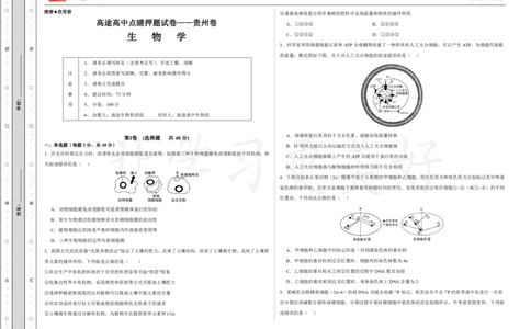 (8.14)-点睛押题卷&mdash;&mdash;贵州卷_2024高考押题卷_132024高途全系列_26高途点睛卷_2024点睛密卷-生物