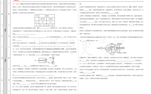 (8.14)-点睛押题卷&mdash;&mdash;贵州卷_2024高考押题卷_132024高途全系列_26高途点睛卷_2024点睛密卷-生物