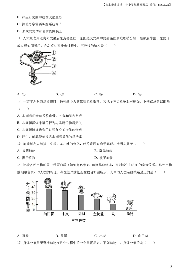 精品解析：2024年河南省中考生物真题（原卷版）_中考真题_8.生物中考真题2015-2024年_2024年中考生物真题_精品解析：2024年河南省中考生物真题