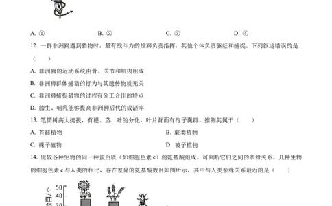 精品解析：2024年河南省中考生物真题（原卷版）_中考真题_8.生物中考真题2015-2024年_2024年中考生物真题_精品解析：2024年河南省中考生物真题