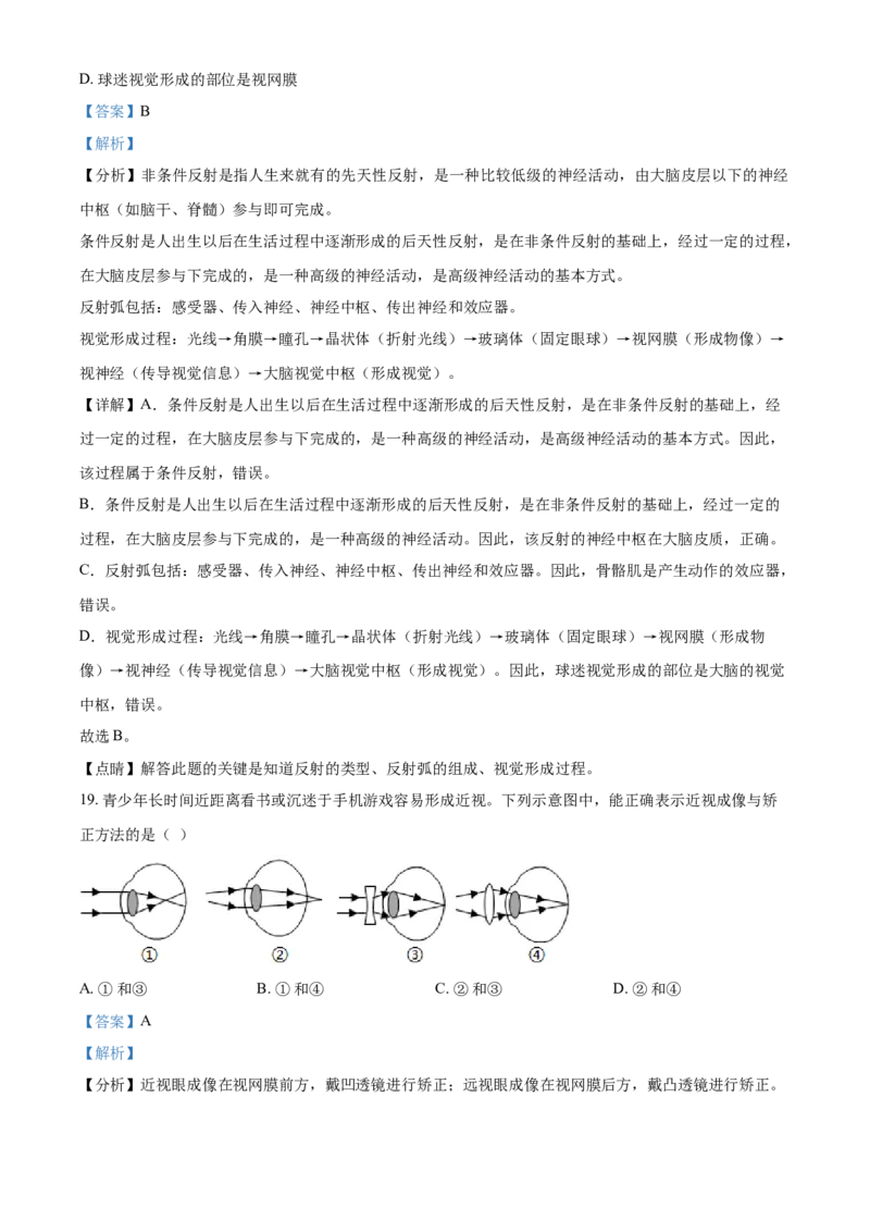 精品解析：江苏省苏州市2021年初中结业考试生物试题（解析版）_中考真题_8.生物中考真题2015-2024年_2021中考生物真题64份_2021江苏省_精品解析：江苏省苏州市2021年初中结业考试生物试题