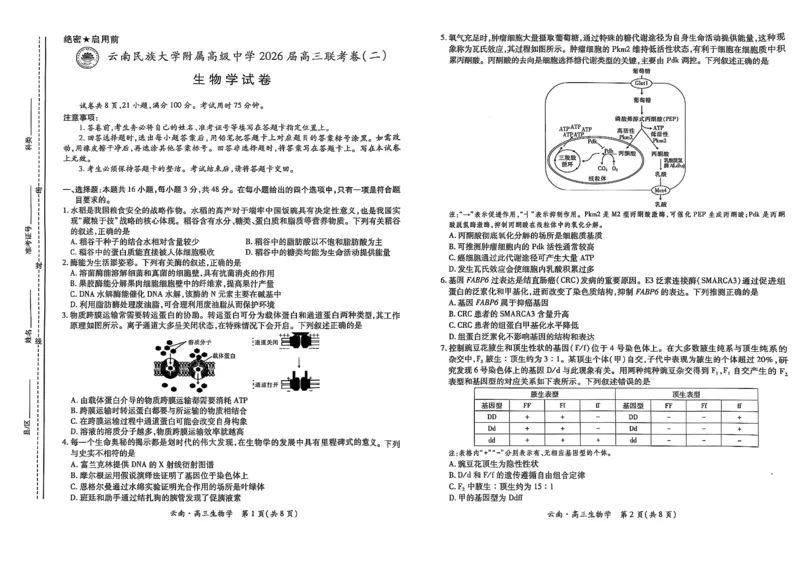 云南民族大学附属高级中学2026届高三联考卷（二）生物_2025年10月_12026年试卷教辅资源等多个文件_251018云南民族大学附属高级中学2026届高三联考卷（二）（全科）