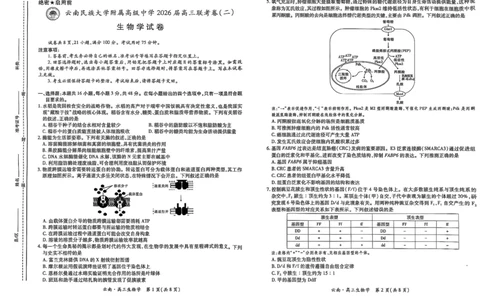 云南民族大学附属高级中学2026届高三联考卷（二）生物_2025年10月_12026年试卷教辅资源等多个文件_251018云南民族大学附属高级中学2026届高三联考卷（二）（全科）