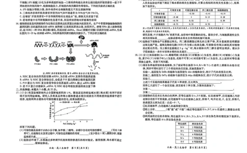 云南民族大学附属高级中学2026届高三联考卷（二）生物_2025年10月_12026年试卷教辅资源等多个文件_251018云南民族大学附属高级中学2026届高三联考卷（二）（全科）