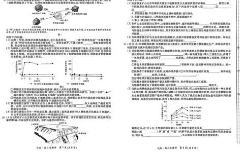 云南民族大学附属高级中学2026届高三联考卷（二）生物_2025年10月_12026年试卷教辅资源等多个文件_251018云南民族大学附属高级中学2026届高三联考卷（二）（全科）