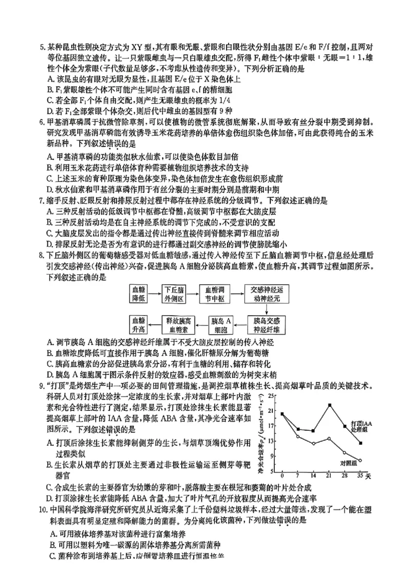九师联盟2025届高三3月质量检测生物_2025年3月_250329九师联盟2025届高三3月质量检测（全科）_九师联盟2025届高三3月质量检测生物