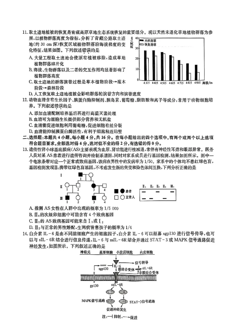 九师联盟2025届高三3月质量检测生物_2025年3月_250329九师联盟2025届高三3月质量检测（全科）_九师联盟2025届高三3月质量检测生物