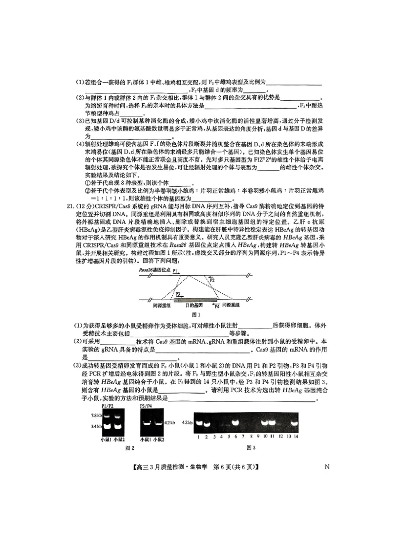 九师联盟2025届高三3月质量检测生物_2025年3月_250329九师联盟2025届高三3月质量检测（全科）_九师联盟2025届高三3月质量检测生物