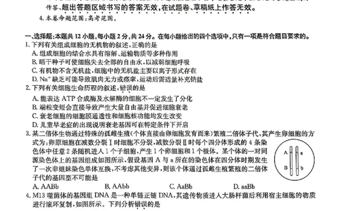 九师联盟2025届高三3月质量检测生物_2025年3月_250329九师联盟2025届高三3月质量检测（全科）_九师联盟2025届高三3月质量检测生物