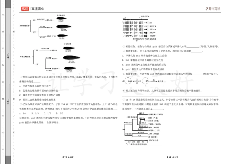 (8.40)-点睛押题卷&mdash;&mdash;上海卷_2024高考押题卷_132024高途全系列_26高途点睛卷_2024点睛密卷-生物