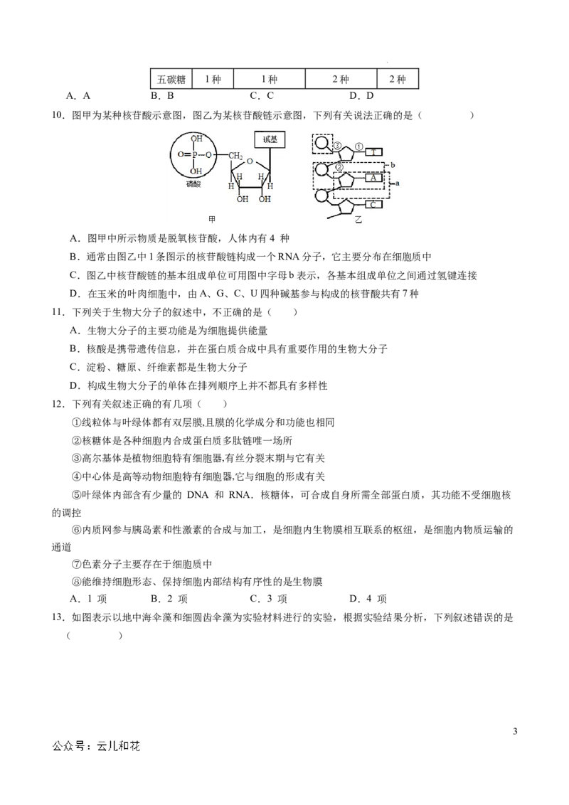 高一生物期中模拟卷02测试范围：人教版2019第1~4章（考试版A4）（新高考通用）_1多考区联考试卷_1014高一期中模拟卷（新高考通用）黄金卷：2024-2025学年高一上学期期中模拟考试