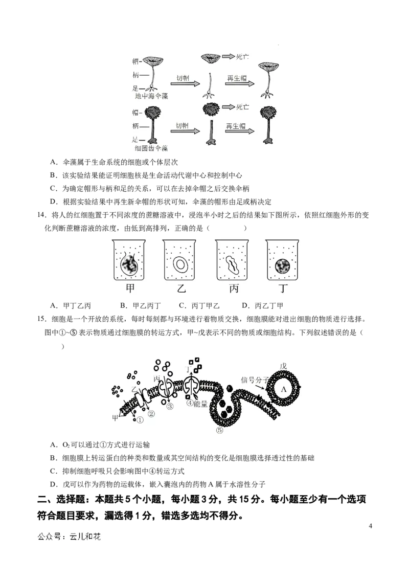 高一生物期中模拟卷02测试范围：人教版2019第1~4章（考试版A4）（新高考通用）_1多考区联考试卷_1014高一期中模拟卷（新高考通用）黄金卷：2024-2025学年高一上学期期中模拟考试