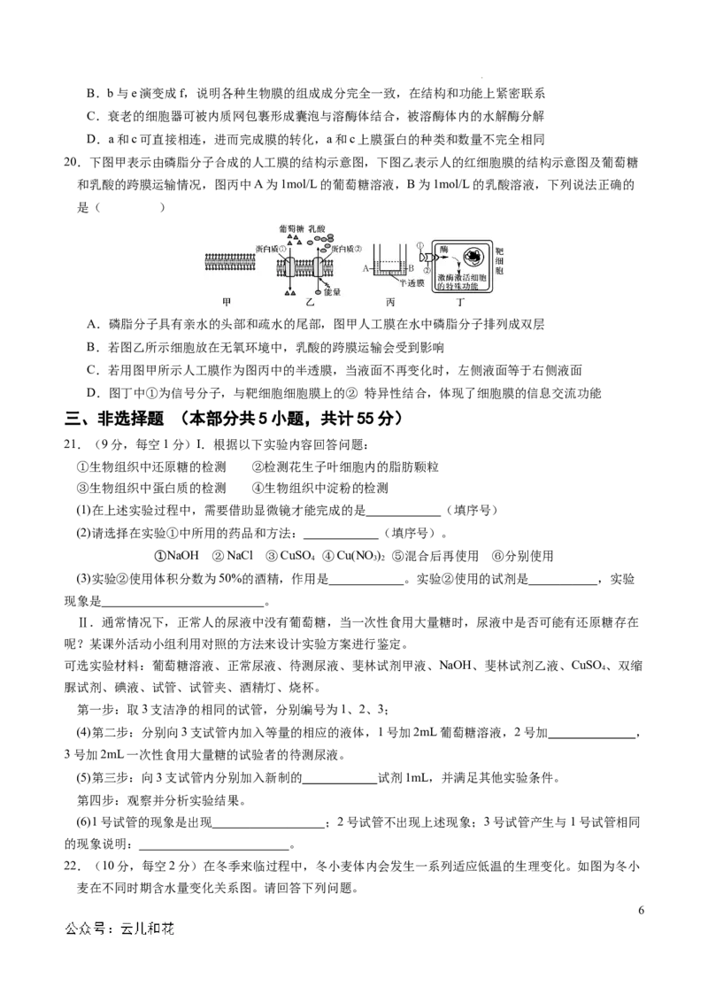 高一生物期中模拟卷02测试范围：人教版2019第1~4章（考试版A4）（新高考通用）_1多考区联考试卷_1014高一期中模拟卷（新高考通用）黄金卷：2024-2025学年高一上学期期中模拟考试
