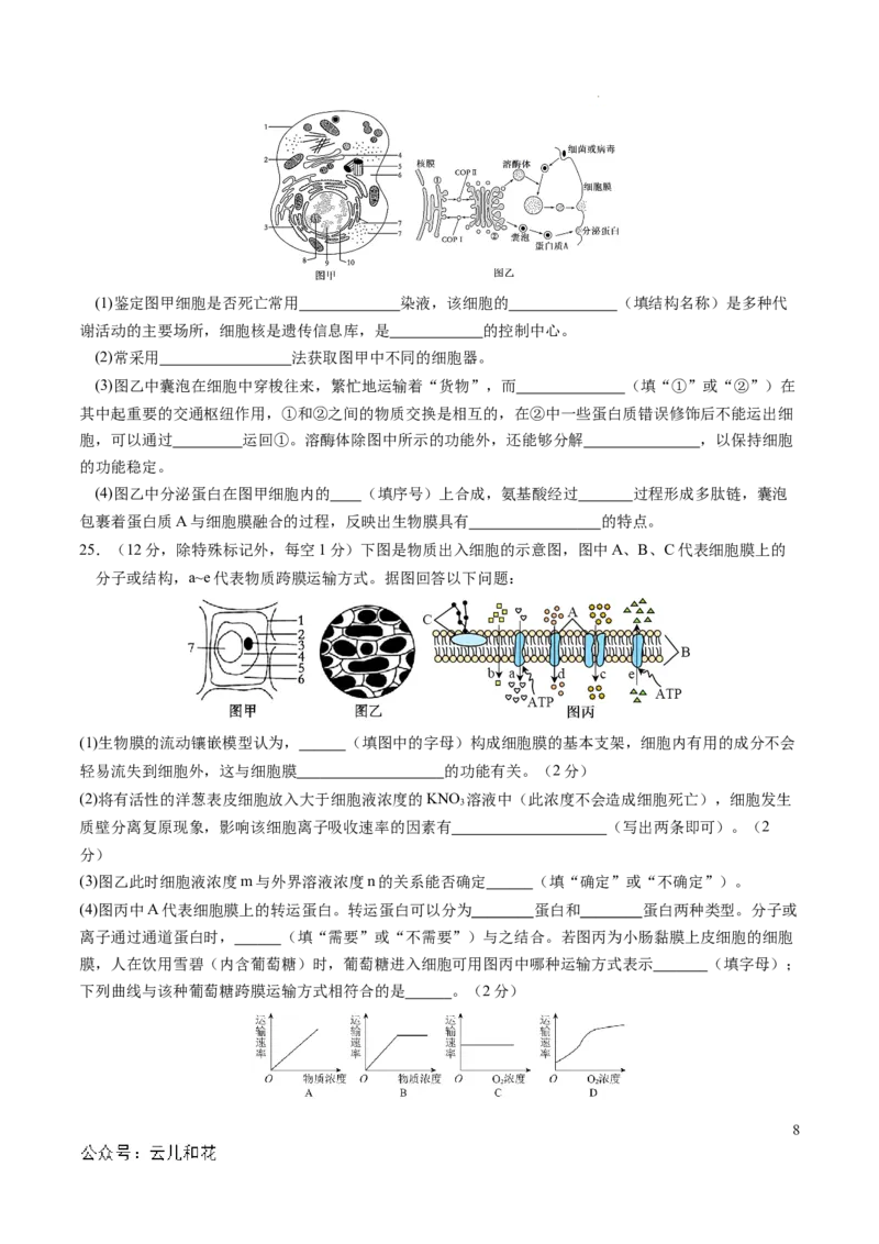 高一生物期中模拟卷02测试范围：人教版2019第1~4章（考试版A4）（新高考通用）_1多考区联考试卷_1014高一期中模拟卷（新高考通用）黄金卷：2024-2025学年高一上学期期中模拟考试