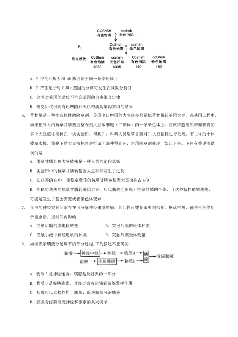 云南省玉溪第一中学2026届高三上学期适应性测试（四）生物Word版含答案_2025年9月_250924云南省玉溪第一中学2026届高三上学期适应性测试（四）（全科）