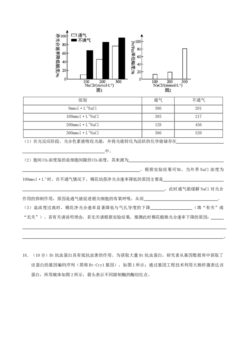 云南省玉溪第一中学2026届高三上学期适应性测试（四）生物Word版含答案_2025年9月_250924云南省玉溪第一中学2026届高三上学期适应性测试（四）（全科）
