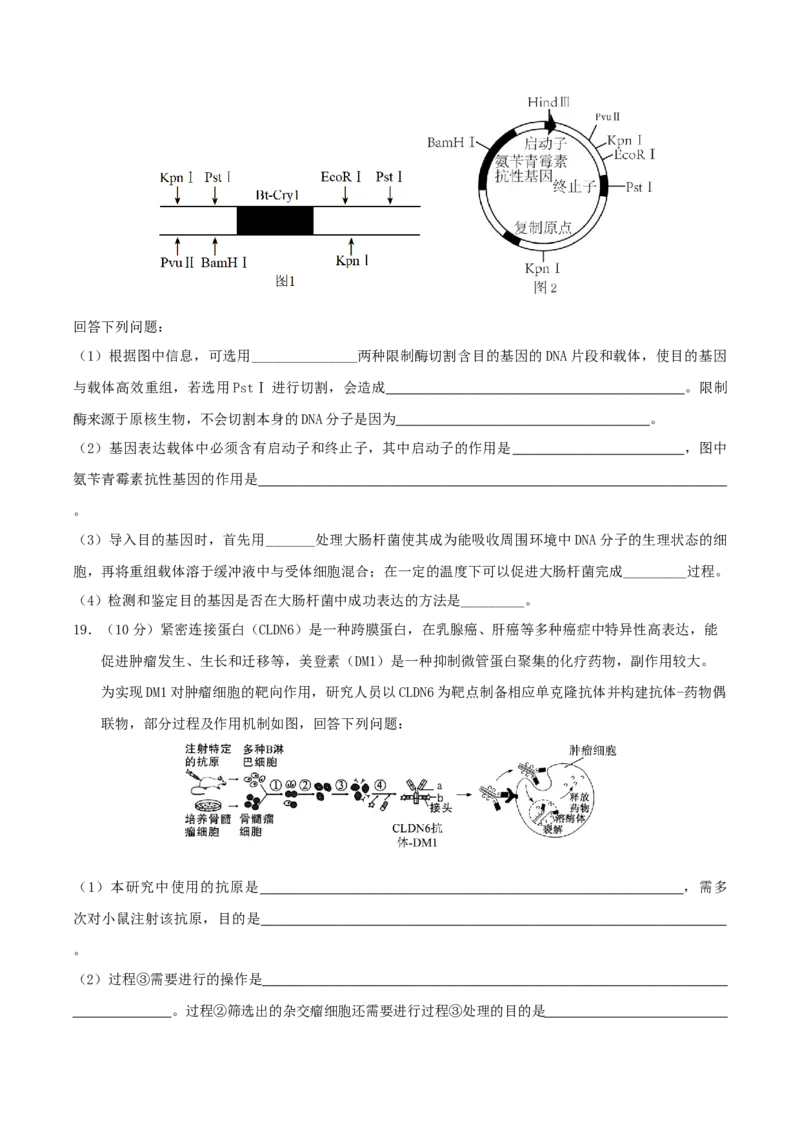 云南省玉溪第一中学2026届高三上学期适应性测试（四）生物Word版含答案_2025年9月_250924云南省玉溪第一中学2026届高三上学期适应性测试（四）（全科）