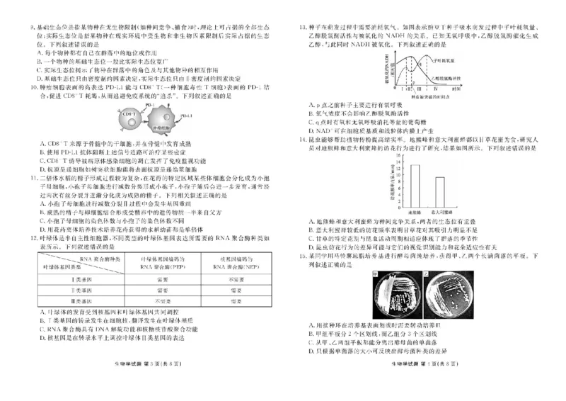 2025届广东省衡水金卷高三年级5月联考生物试题（含答案）_2025年5月_250515衡水金卷2025届高三5月份联考（全科）