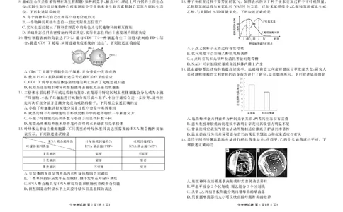 2025届广东省衡水金卷高三年级5月联考生物试题（含答案）_2025年5月_250515衡水金卷2025届高三5月份联考（全科）