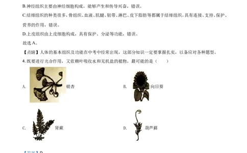 精品解析：湖南岳阳市2020年中考生物试题（解析版）_中考真题_8.生物中考真题2015-2024年_2020生物真题74份_2020年中考真题精品解析生物（湖南岳阳卷）精编word版