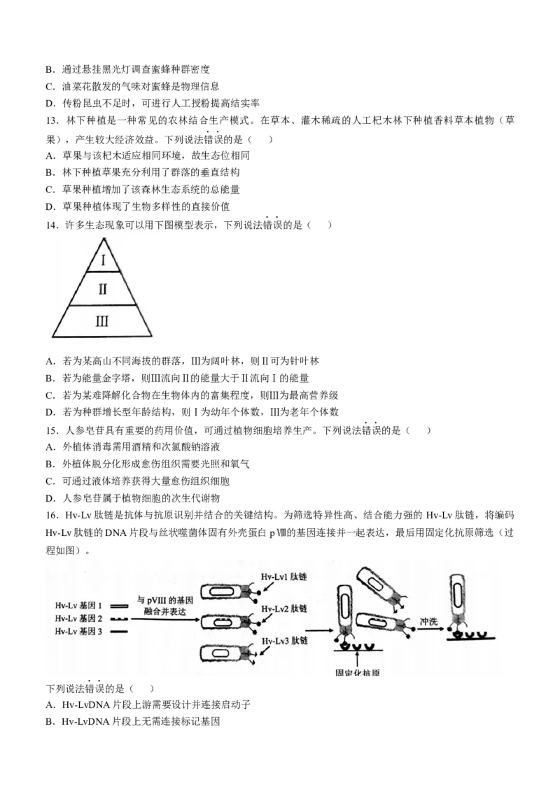 2025年1月云南省普通高等学校招生考试适应性测试（八省联考）生物试题（无答案）_2025年1月_2501062025年高考综合改革适应性演练（八省联考）