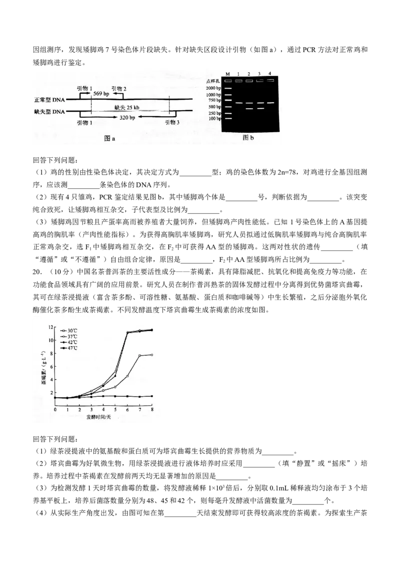 2025年1月云南省普通高等学校招生考试适应性测试（八省联考）生物试题（无答案）_2025年1月_2501062025年高考综合改革适应性演练（八省联考）