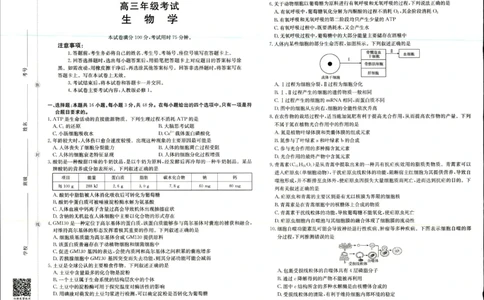 2025年9月29日高三金太联考2生物试题_2025年10月_251012山西陕西金太阳2025年9月高三联考（25-33C）（全科）_2025年9月29日高三金太联考2题卡答案_试题