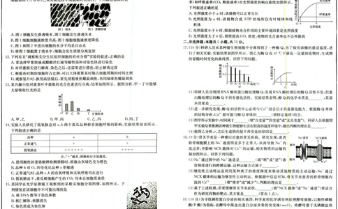 2025年9月29日高三金太联考2生物试题_2025年10月_251012山西陕西金太阳2025年9月高三联考（25-33C）（全科）_2025年9月29日高三金太联考2题卡答案_试题