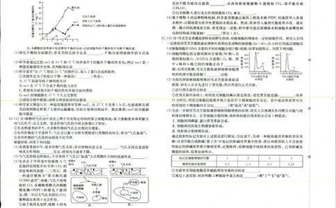 2025年9月29日高三金太联考2生物试题_2025年10月_251012山西陕西金太阳2025年9月高三联考（25-33C）（全科）_2025年9月29日高三金太联考2题卡答案_试题