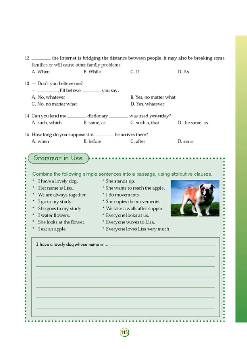 高中英语语法与词汇_4-教培资料-26年最新资料-同步更新_初中高中教资_03科三专项（进去保存报考的学科即可）_02科三专项（笔记真题思维导图教学设计版本二）