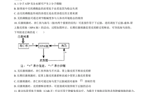 2025年1月普通高校适应性测试河南生物Word版无答案_2025年1月_❤2025年高考综合改革适应性演练（八省联考）(1)_2025年1月河南省普通高等学校招生考试适应性测试（八省联考）