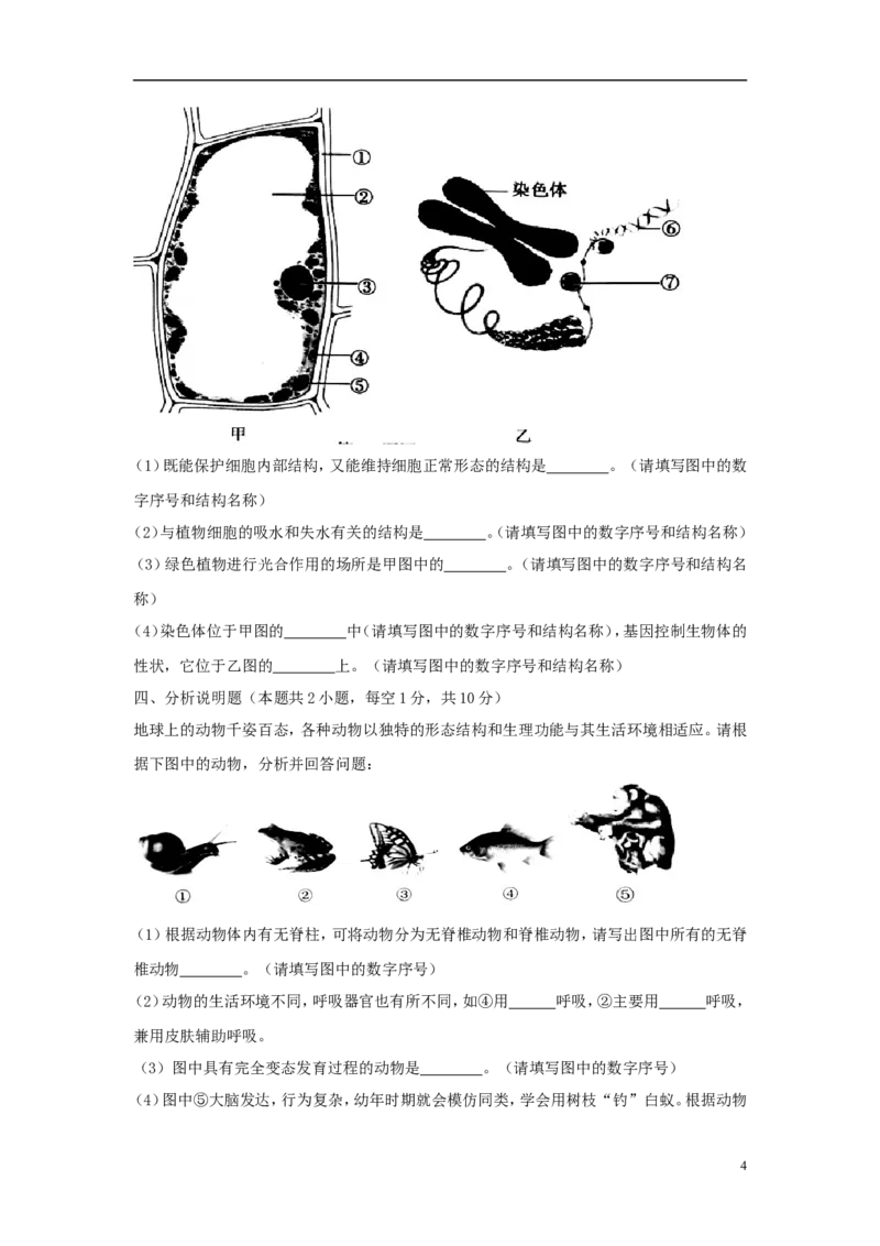 辽宁省沈阳市2018年中考生物真题试题（含答案）_中考真题_8.生物中考真题2015-2024年_2018年全国中考生物141份