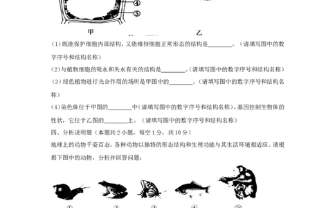 辽宁省沈阳市2018年中考生物真题试题（含答案）_中考真题_8.生物中考真题2015-2024年_2018年全国中考生物141份