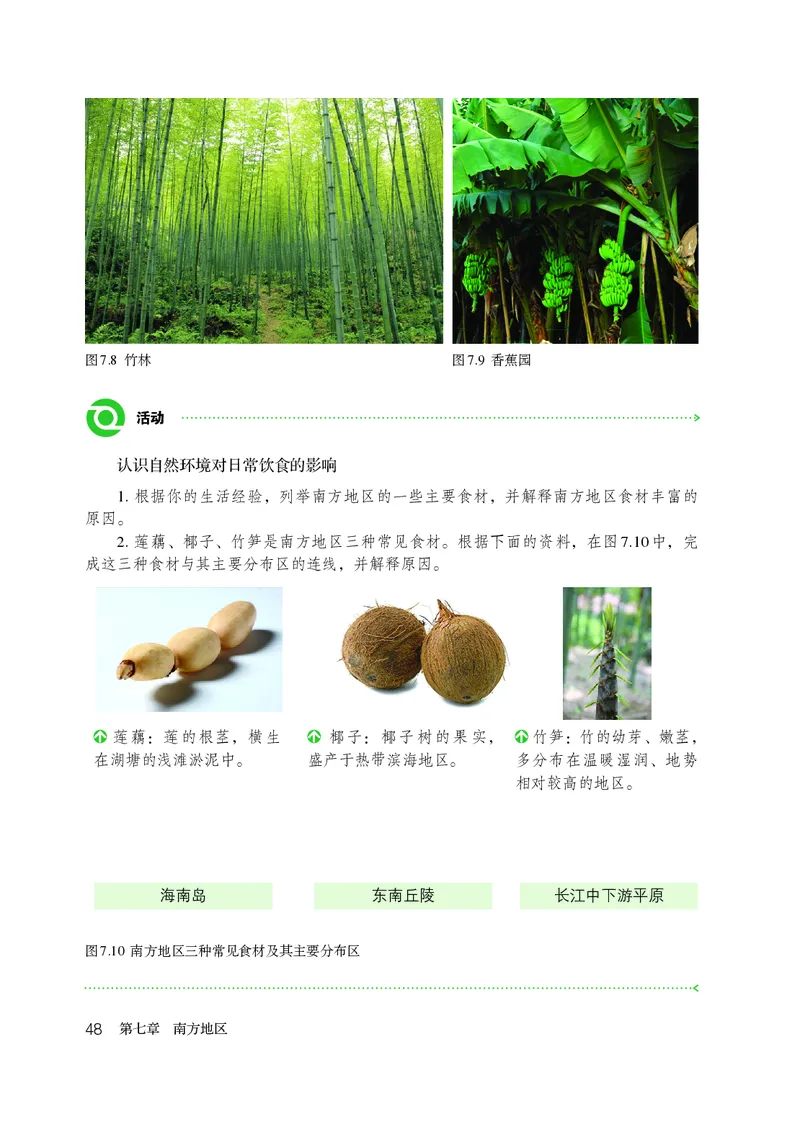 鲁教版7年级地理下册高清教材_4-教培资料-26年最新资料-同步更新_初中高中教资_03科三专项（进去保存报考的学科即可）_02科三专项（笔记真题思维导图教学设计版本二）