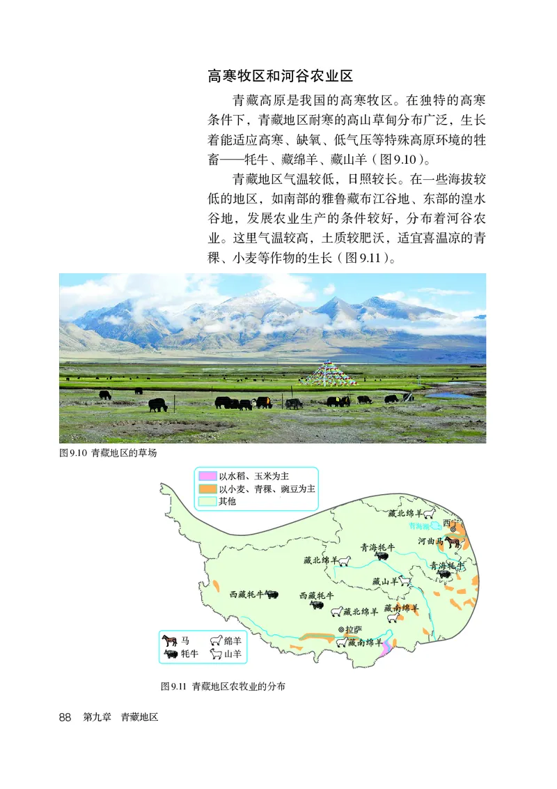 鲁教版7年级地理下册高清教材_4-教培资料-26年最新资料-同步更新_初中高中教资_03科三专项（进去保存报考的学科即可）_02科三专项（笔记真题思维导图教学设计版本二）