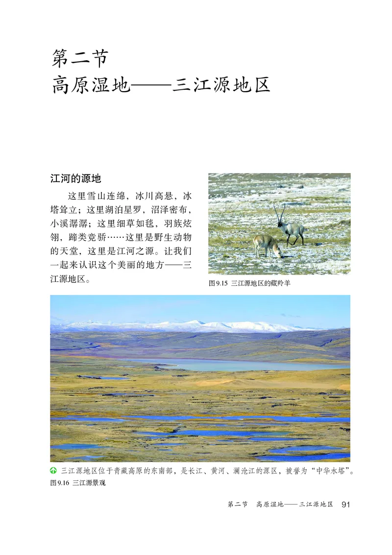 鲁教版7年级地理下册高清教材_4-教培资料-26年最新资料-同步更新_初中高中教资_03科三专项（进去保存报考的学科即可）_02科三专项（笔记真题思维导图教学设计版本二）