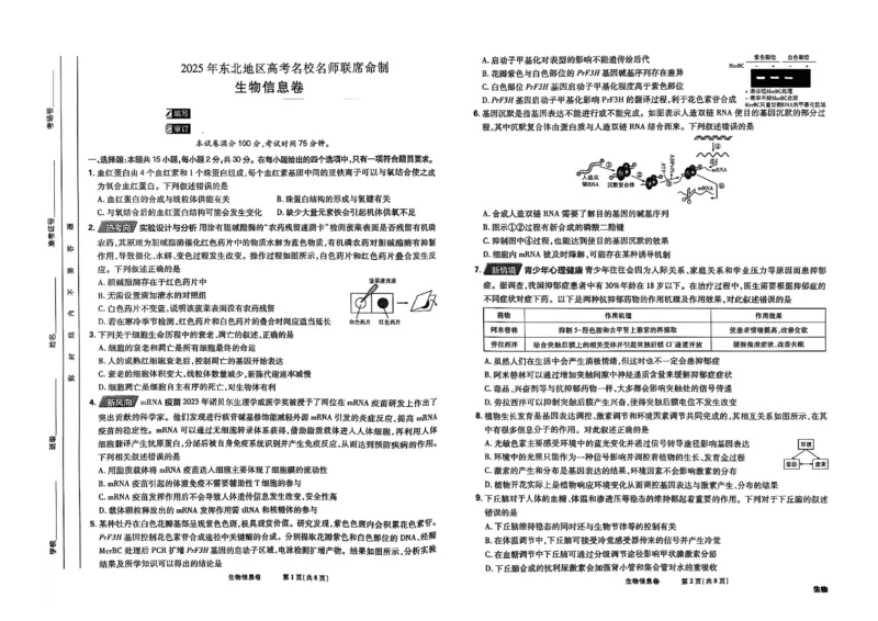 2025届东北地区高考名师名校联席命制-生物信息卷（含答题卡+答案）_2025年4月_2504102025年东北地区高考名校名师联席命制信息卷