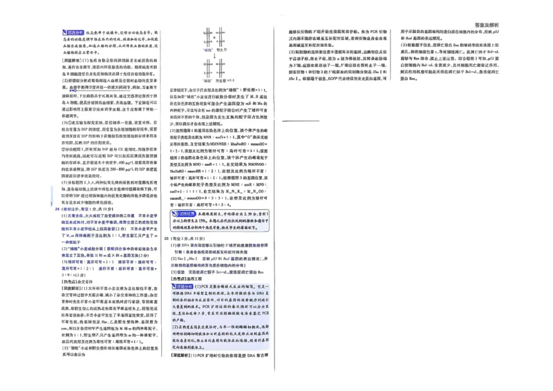 2025届东北地区高考名师名校联席命制-生物信息卷（含答题卡+答案）_2025年4月_2504102025年东北地区高考名校名师联席命制信息卷