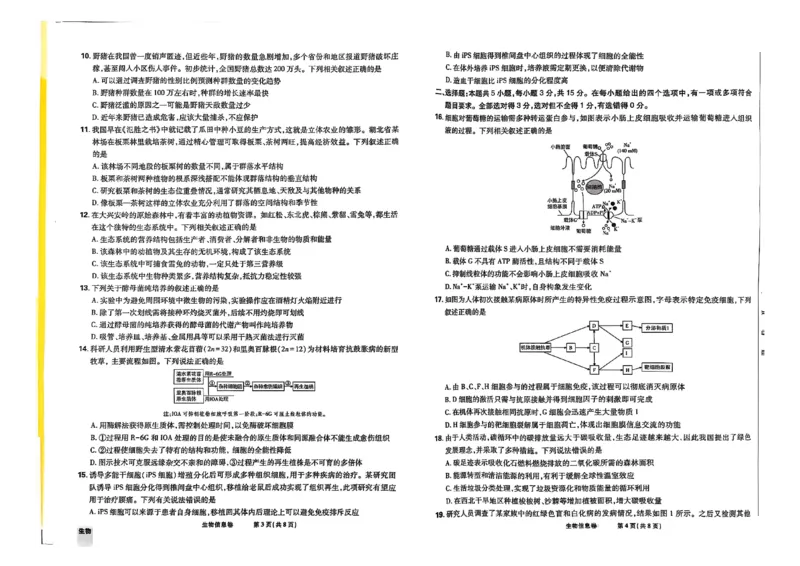 2025届东北地区高考名师名校联席命制-生物信息卷（含答题卡+答案）_2025年4月_2504102025年东北地区高考名校名师联席命制信息卷