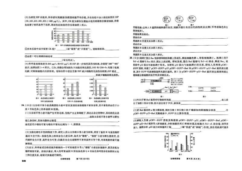 2025届东北地区高考名师名校联席命制-生物信息卷（含答题卡+答案）_2025年4月_2504102025年东北地区高考名校名师联席命制信息卷
