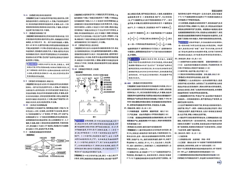 2025届东北地区高考名师名校联席命制-生物信息卷（含答题卡+答案）_2025年4月_2504102025年东北地区高考名校名师联席命制信息卷
