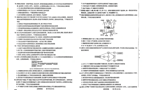 2025届东北地区高考名师名校联席命制-生物信息卷（含答题卡+答案）_2025年4月_2504102025年东北地区高考名校名师联席命制信息卷